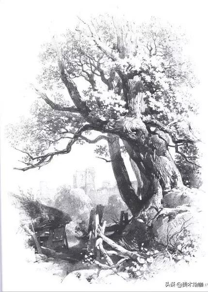 静物素描风景图临摹,简单又好画的彩铅素描风景图