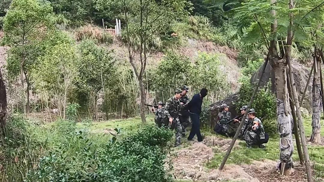 福建省军区民兵演习,战区部队的军事演练