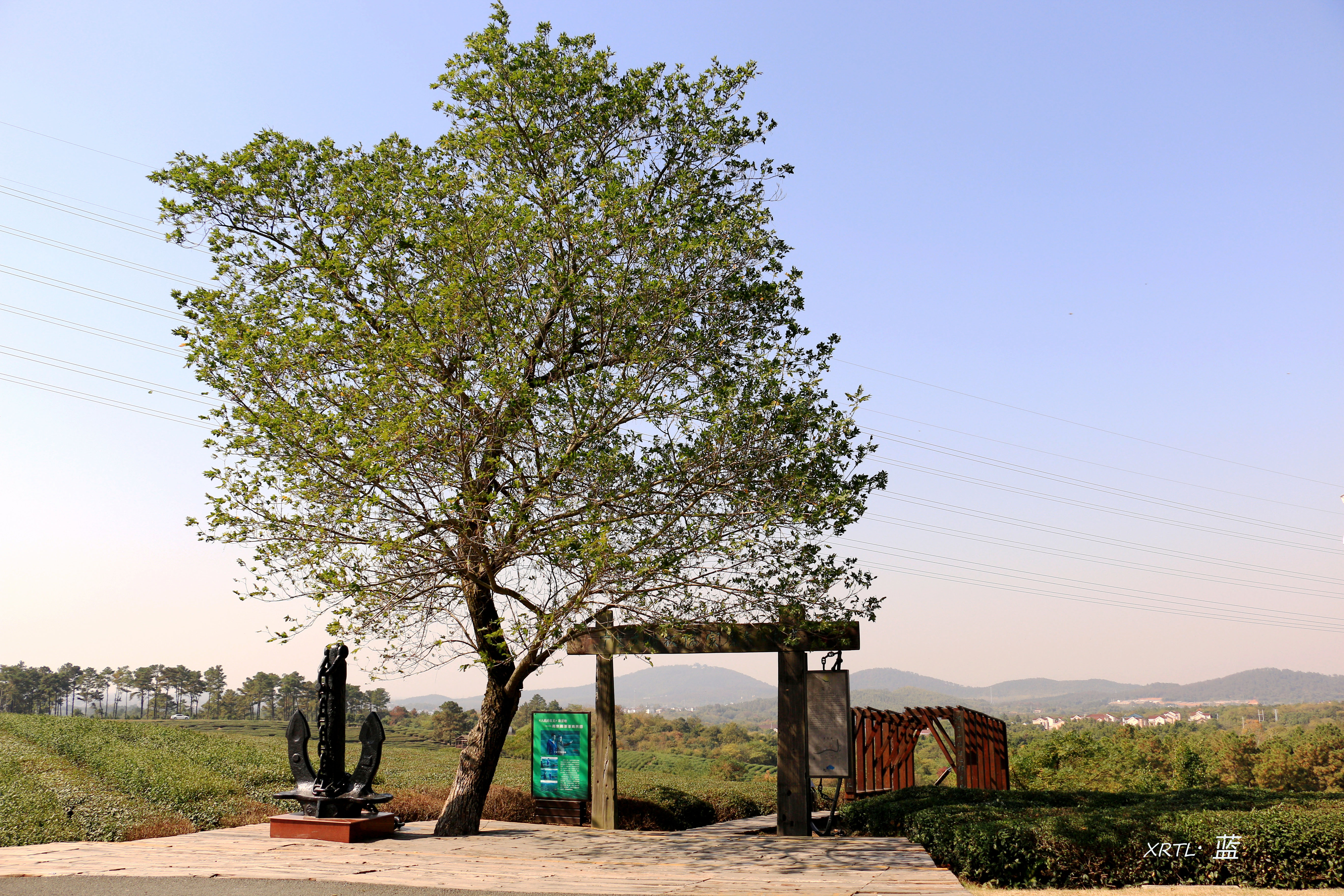 南京周边一天半游的绝佳去处,疫情后南京出游