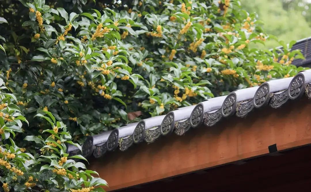 王维诗文作品100首,王维冷门诗精选