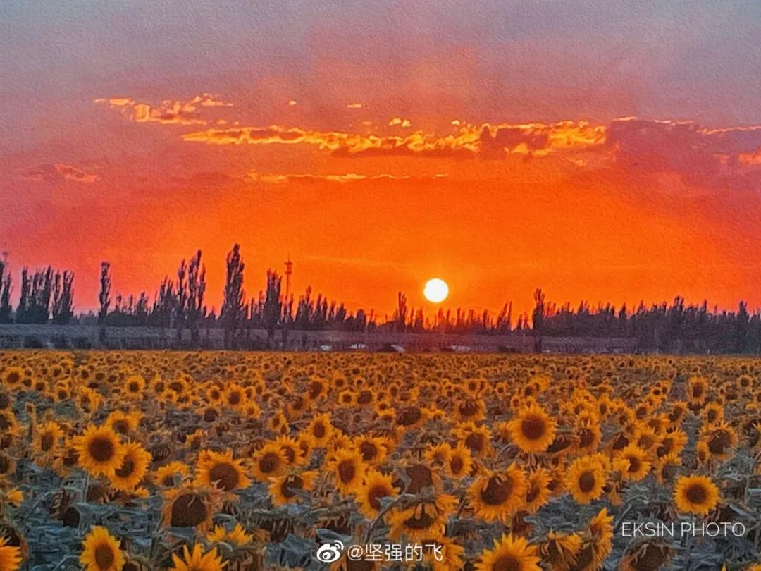 学党史知党恩跟党走画一画,学党史绘党情书画