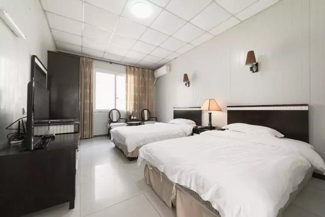 万亩杜鹃花开！邂逅野生水鹿，观云海住树屋，成都自驾3.5h就到！