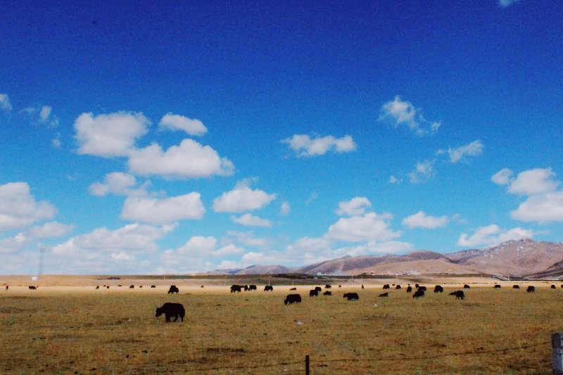g318骑行上海,自驾g318川藏线分享沿途美景