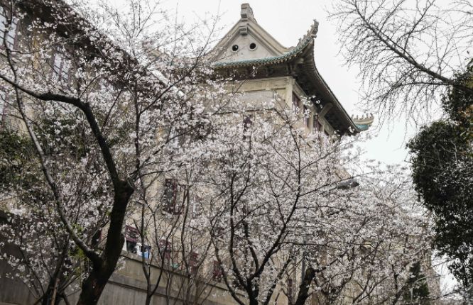 早读奖励,安徽合肥中考能加分的有哪些项目