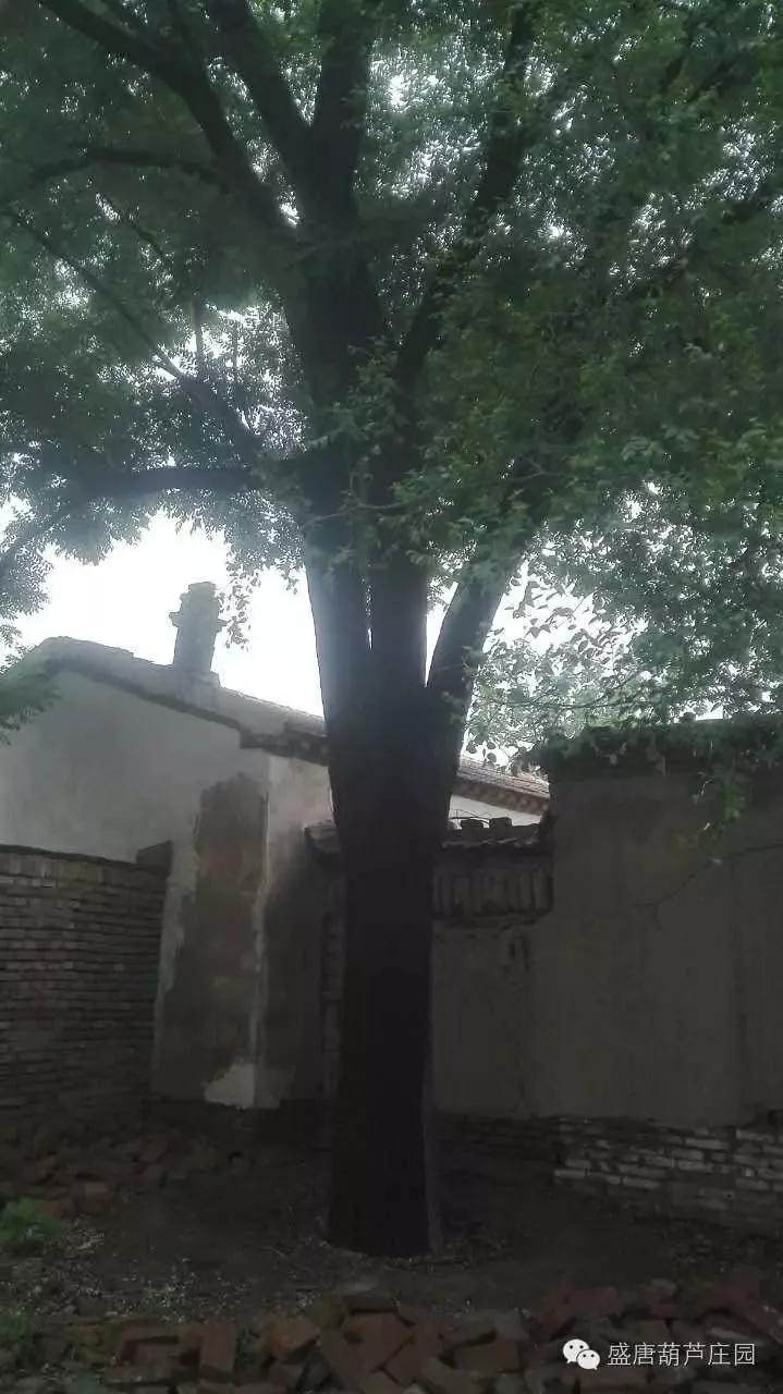 韩庄村历史,走过千年的古街来到你身边