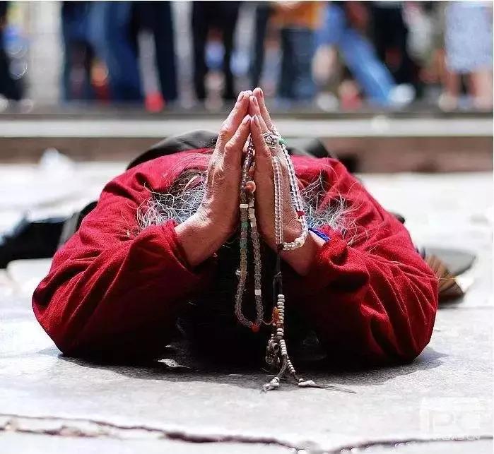 佛教合十礼的正确手势图片,佛教单掌礼和双手合十礼的区别