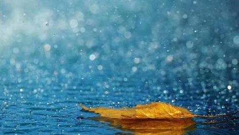 万里云罗一雁飞小说在线阅读,万里云罗一雁飞意思