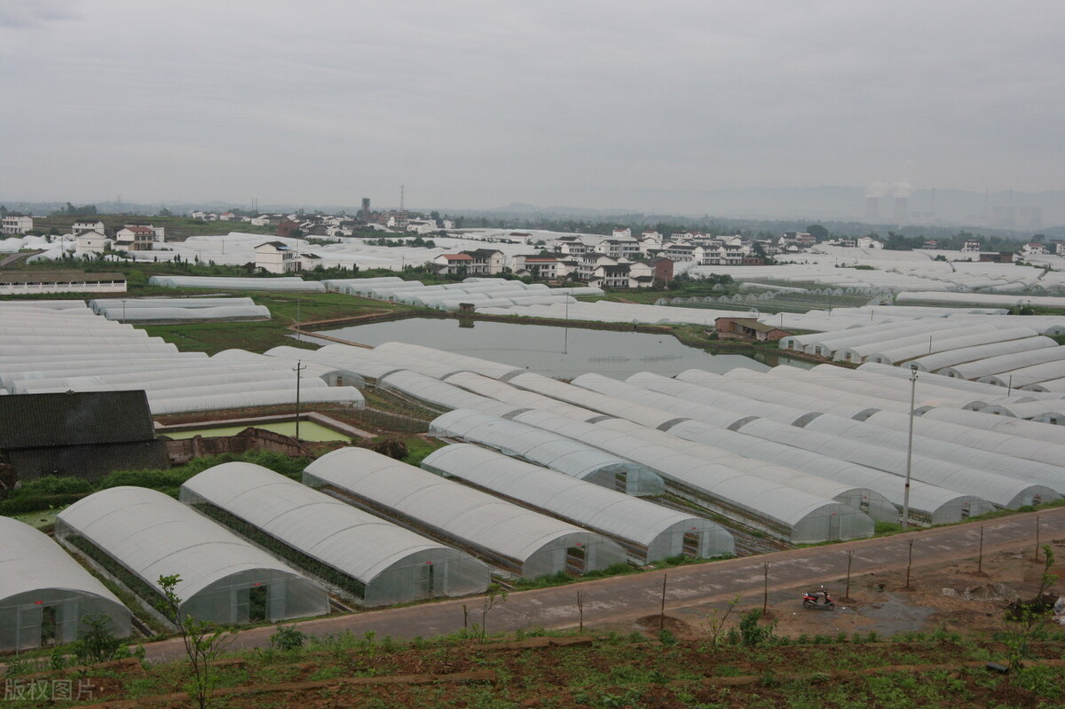 山东省：枣庄市“55项”获批项目，精准发布，收获满满商机