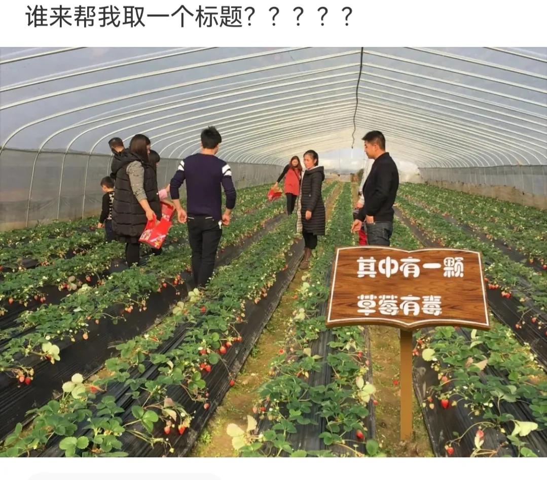 神回复城市因岁月而伟大,有钱乡下是净土没钱全是土图片