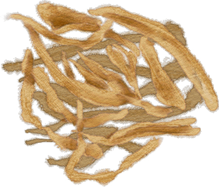 古法龟苓膏纯手工熬制方法,用龟壳熬制龟苓膏做法