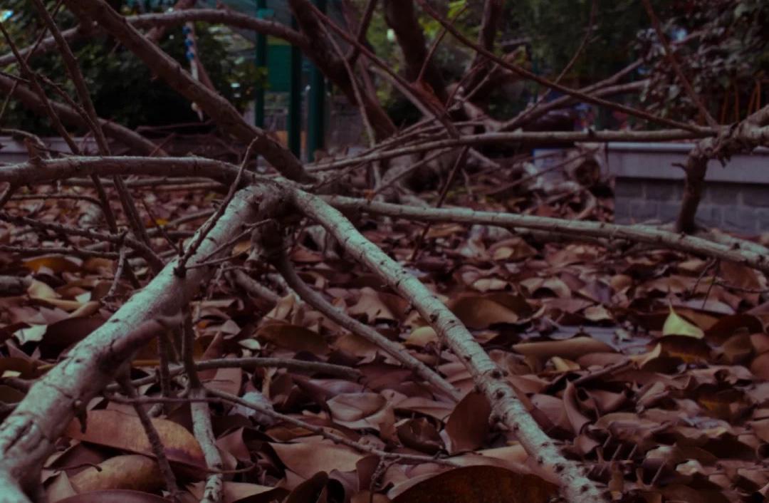 广东深圳废弃游乐园,深圳最荒无人烟的游乐园