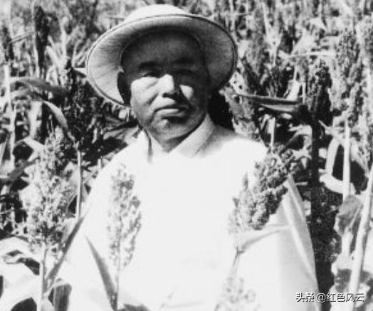 85年*小平邓**来南京看望*世友许**，*世友许**快步相迎，认真敬了一个军礼