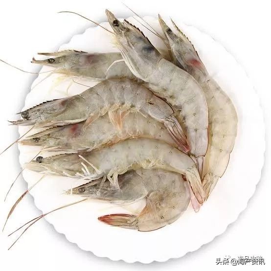 南美白对虾最全知识科普,南美对虾科普知识大全