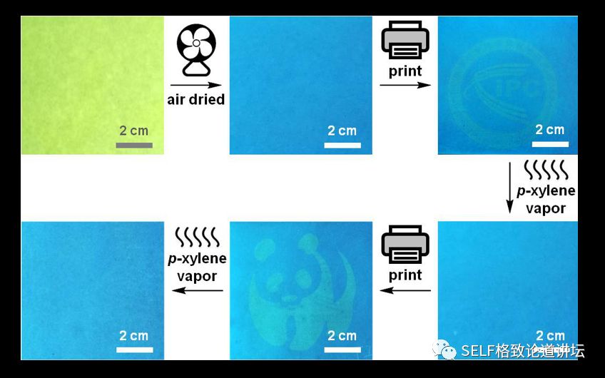 诺贝尔奖中的有机化学,为什么诺贝尔化学奖很少