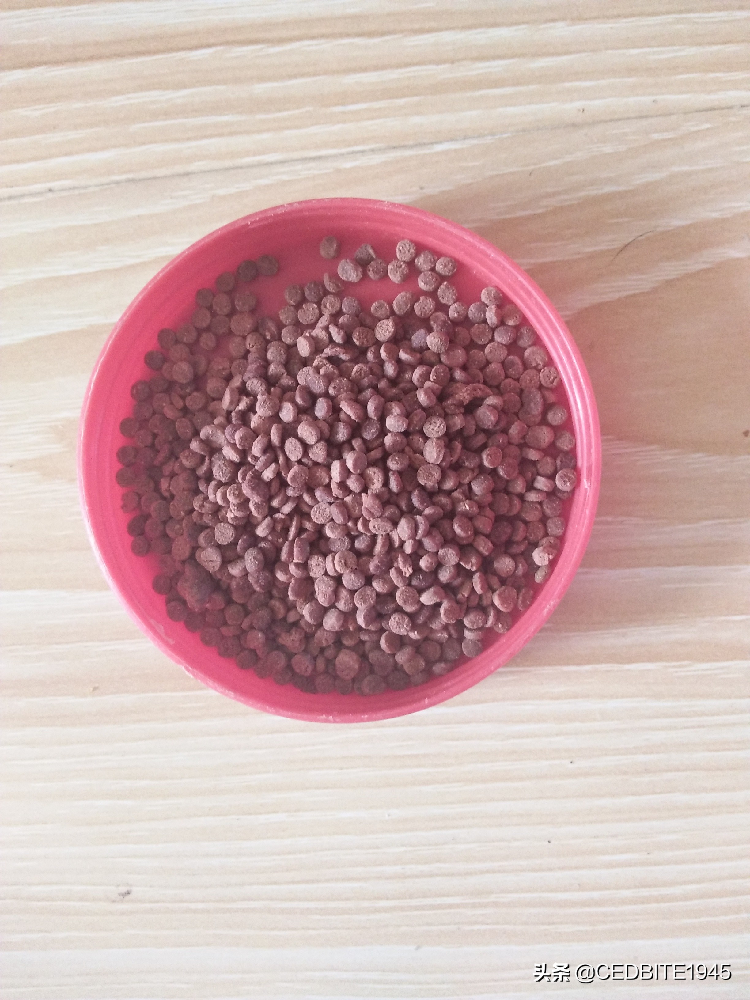 鱼好养省事,鱼好养活