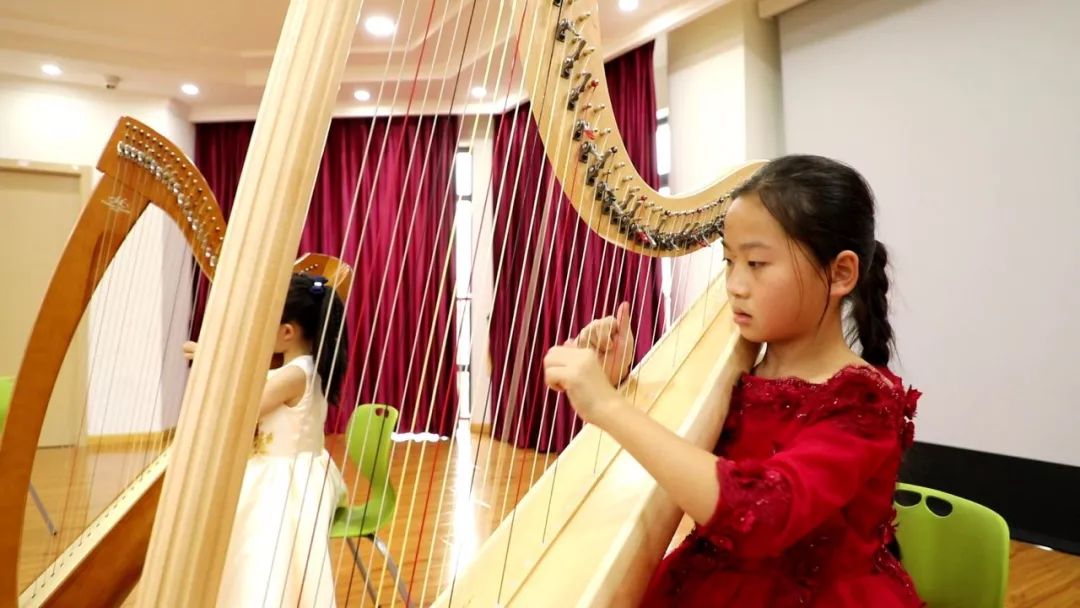 世界上最古老的乐器是什么乐器呢,学世界最古老的乐器