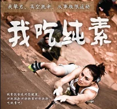 研究显示纯素者拥有更好的耐力，篮球巨星保罗也是位纯素主义者！