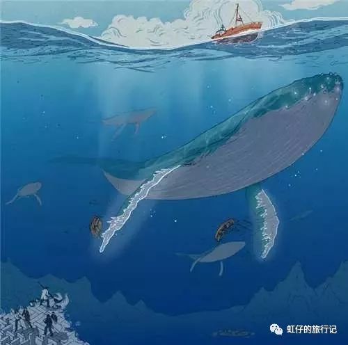 菲律宾旅游团报价七日游语言,菲律宾海岛五日游报价