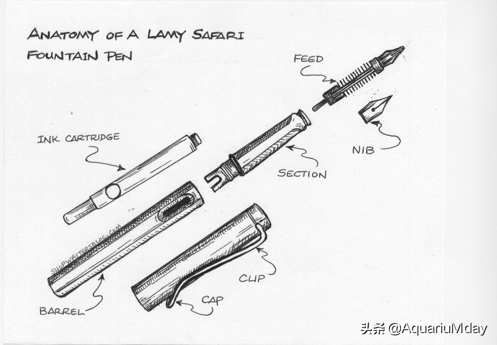 凌美钢笔怎么判断型号,凌美钢笔的定位