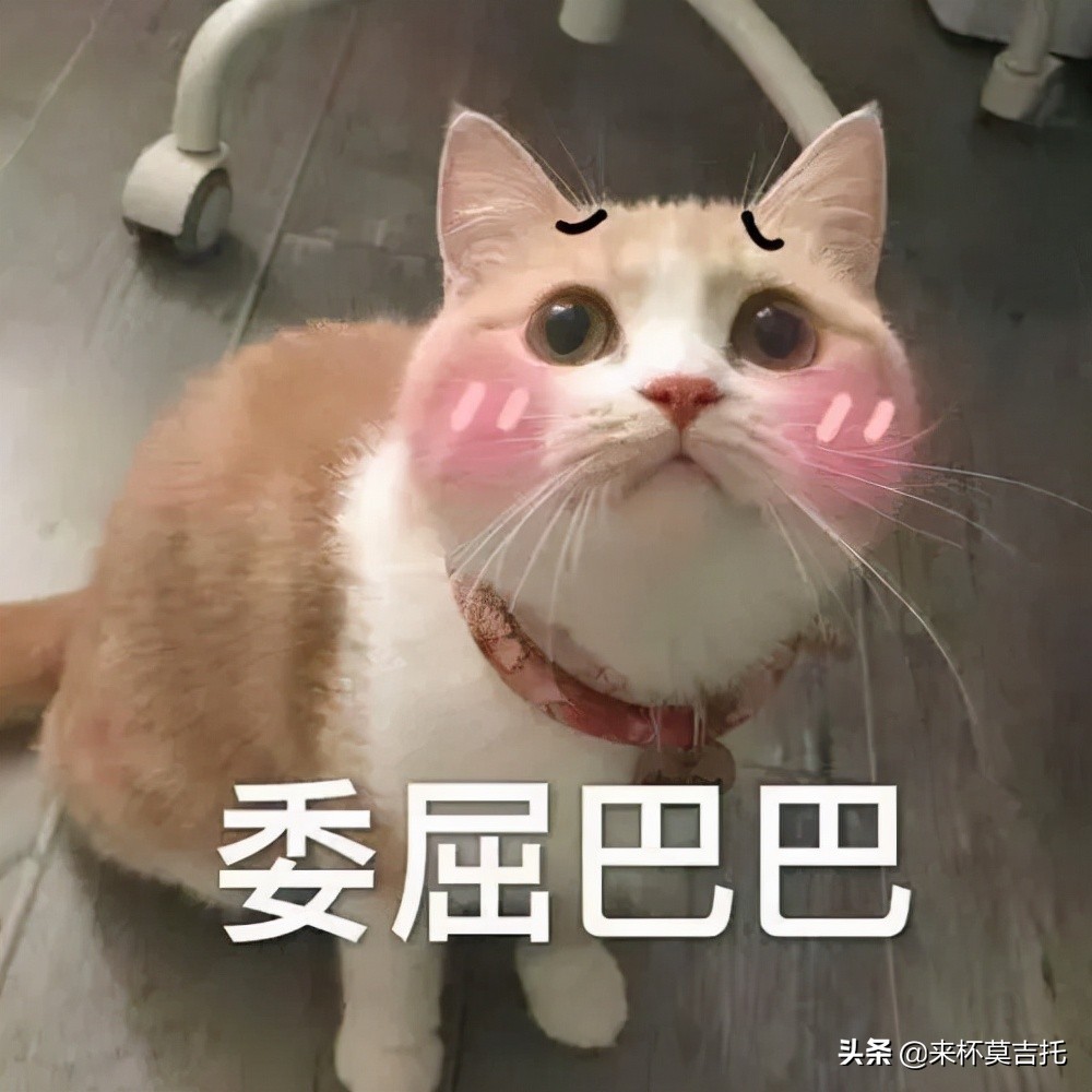 如何挑选一个合适自己的吉他,新手如何选择一把适合自己的吉他