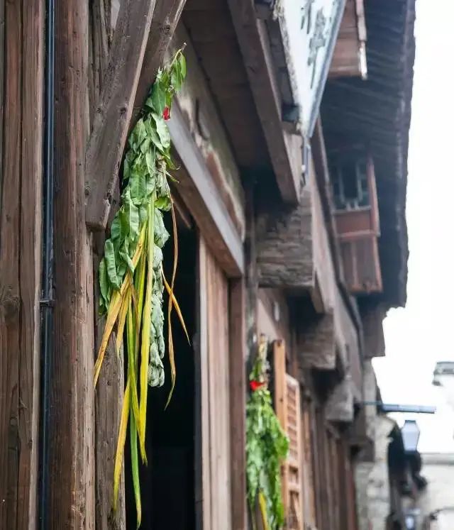 五月五端午节吃粽子祝福语,五月五端午节的4句诗