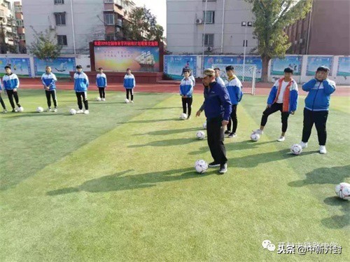 体育国培计划内容,体育国培学习计划