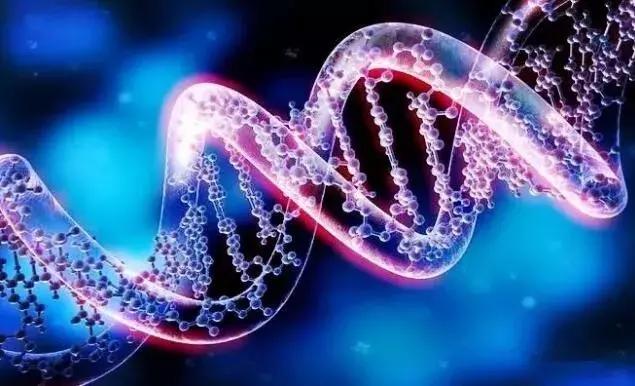 被鱼胶原蛋白骗惨的中国女孩，别再执迷不悟了