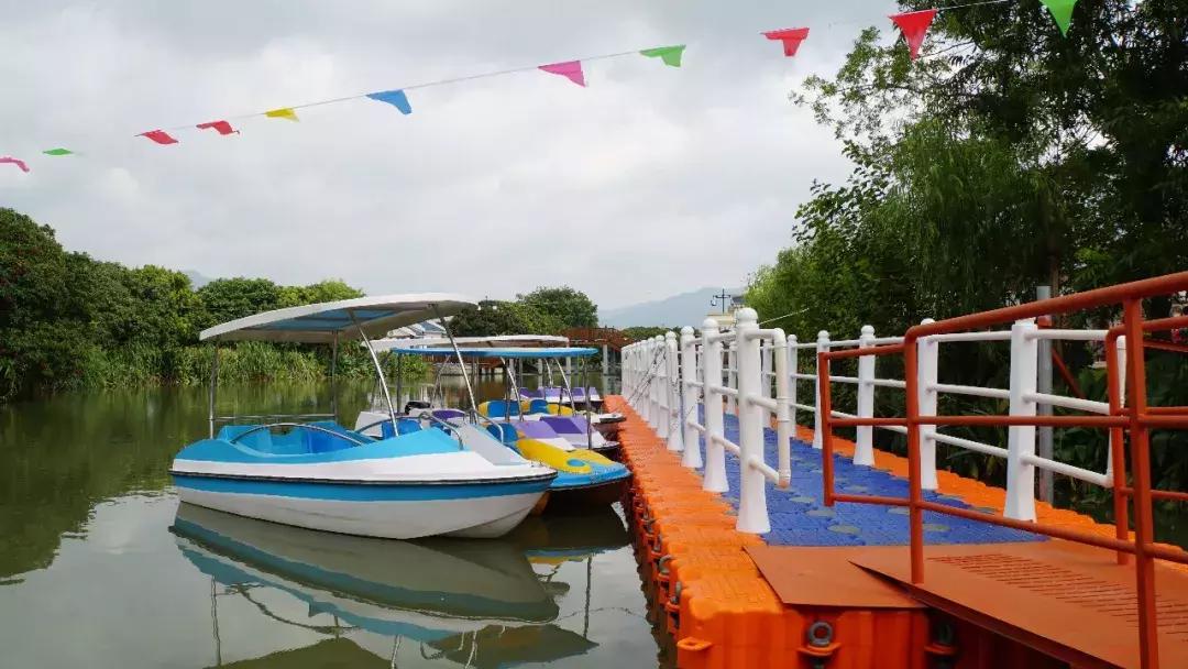 直击莆田荔枝采摘现场,莆田荔枝现摘