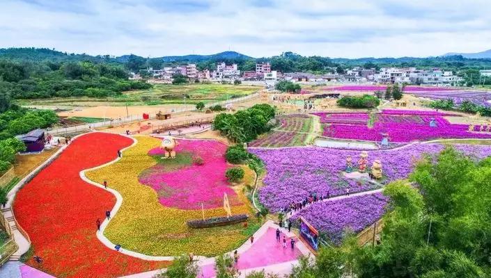 偷偷告诉你驴友们常去的从化小众特点小镇~比森林公园更美更好玩