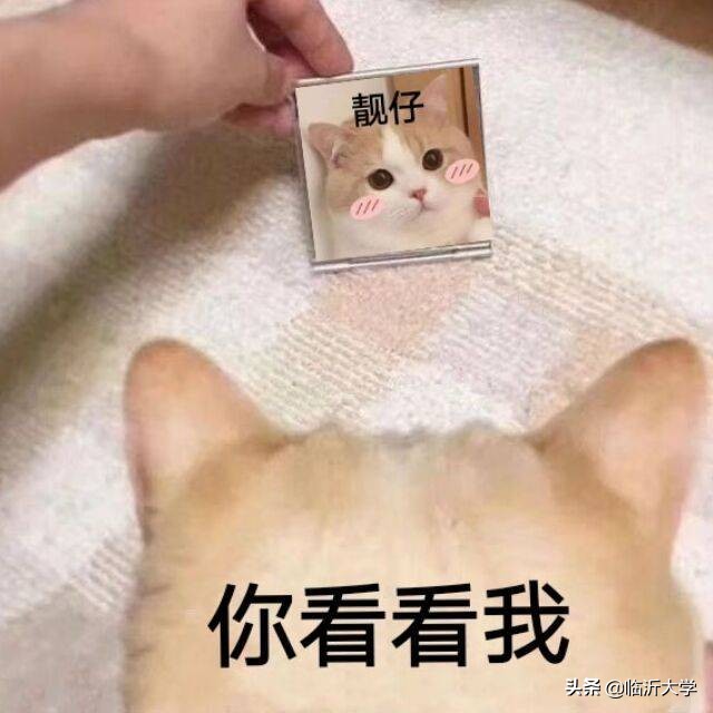 用古文说现代话,现代话用古文表达