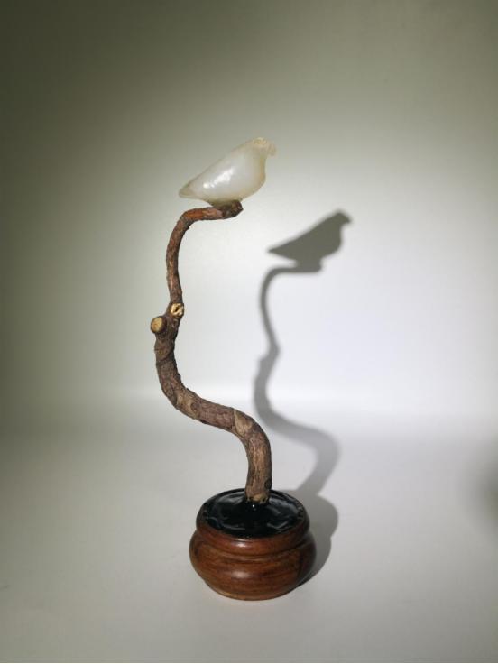 都是些什么“鸟石”？保证有你好看