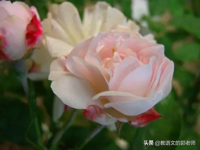 幼儿园五一劳动节黑板报简单漂亮,五一劳动节手抄报名人名言和诗歌