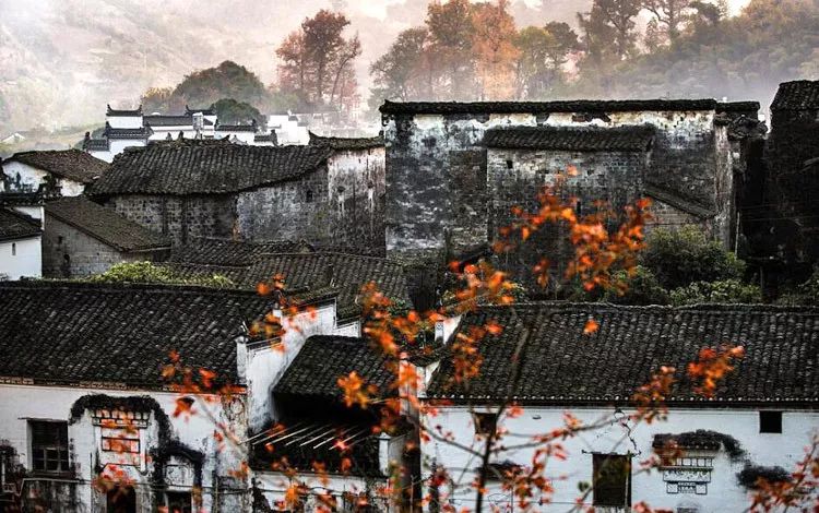 散文追寻遗落的秋光,追寻遗落的秋光全文