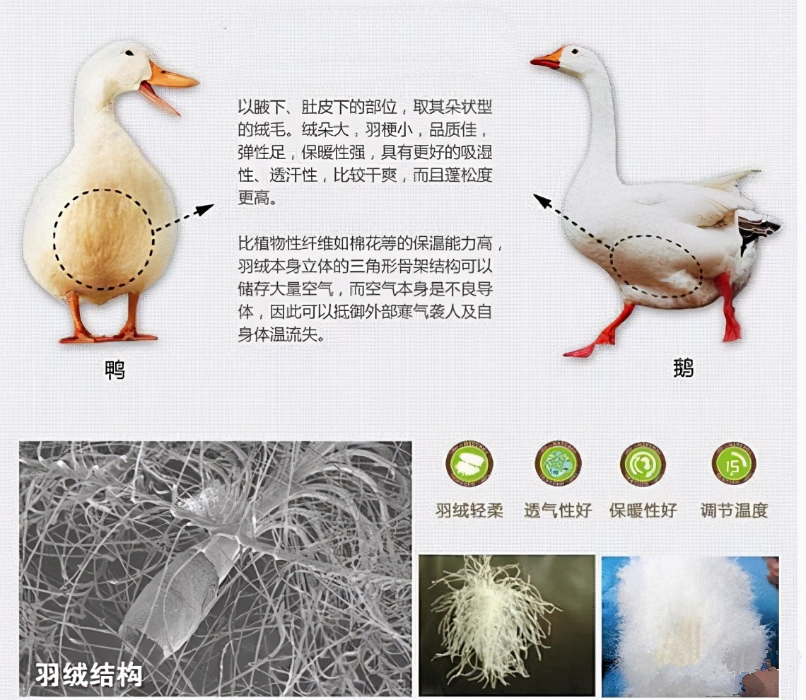 平价羽绒服如何选择好品牌,1000-2000哪个品牌羽绒服款式好