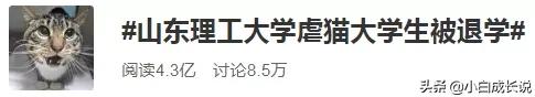 为什么虐猫会被批判,为什么现在虐猫都能上热搜