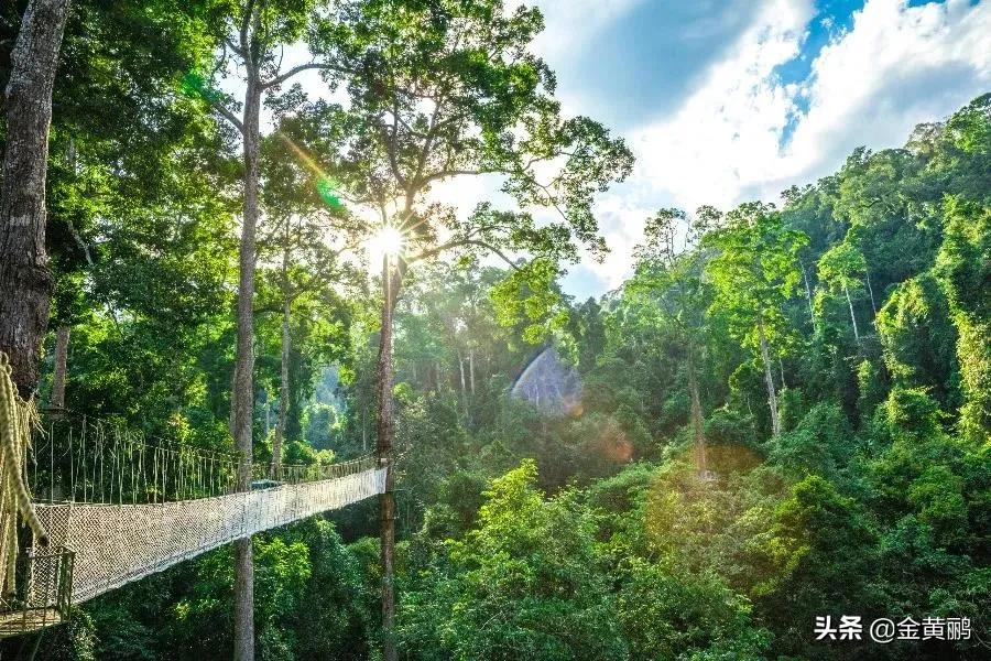 为什么云南女人长相好看,云南真的很漂亮吗