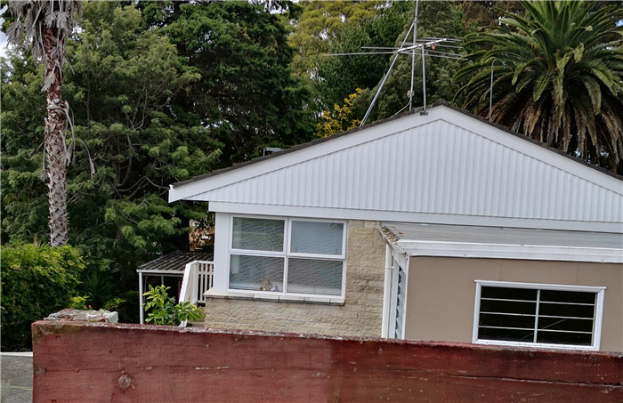 新西兰宅居第五天