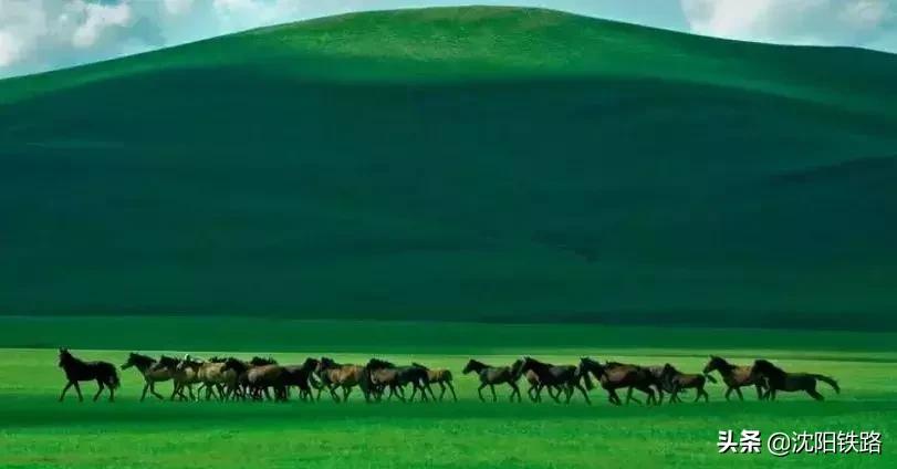 辽宁草原旅游列车,辽宁附近2-3天短途旅游高铁