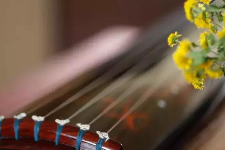 冬天手脚冷适合喝什么茶,冬天手脚冰凉适合什么茶