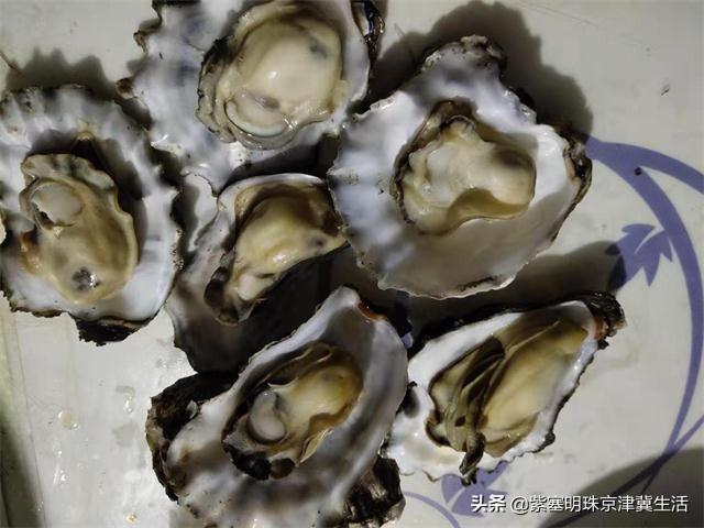 乐亭韩姐农家院价格,天津蓟县乐亭韩姐农家院