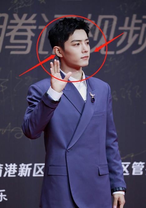 肖战星光大赏红毯相片,肖战星光大赏走红毯图片