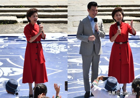 央视海霞穿旗袍,海霞旗袍