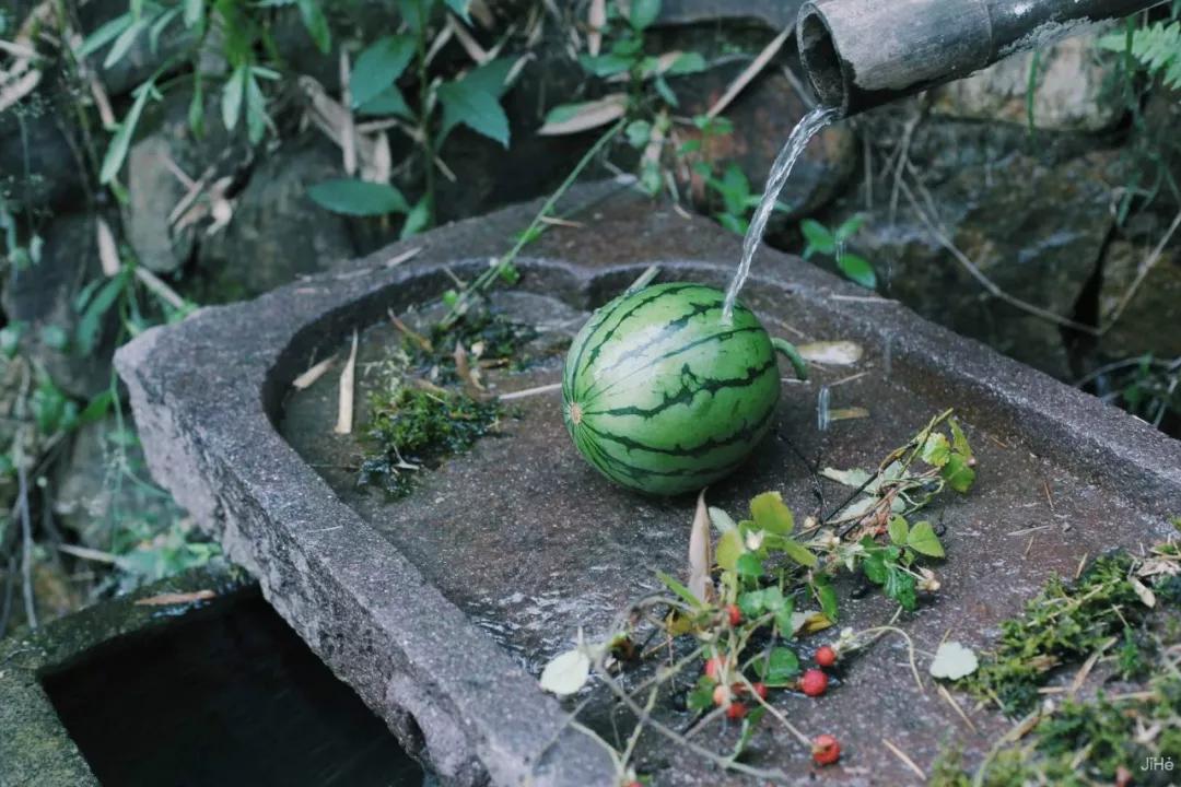 民宿推荐莫干山,莫干山森林小屋民宿