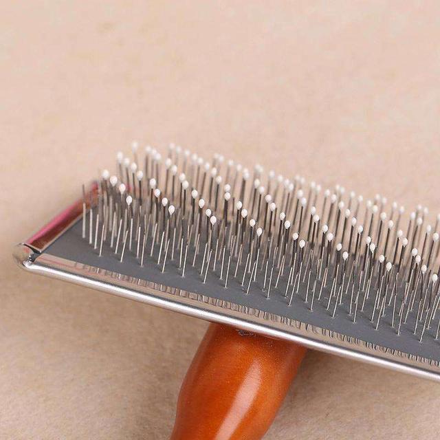 养宠物必备的10件东西,怎么养宠物最省钱的方法