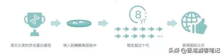 有荧光剂的姨妈巾的危害,姨妈巾里面的晶体有毒吗