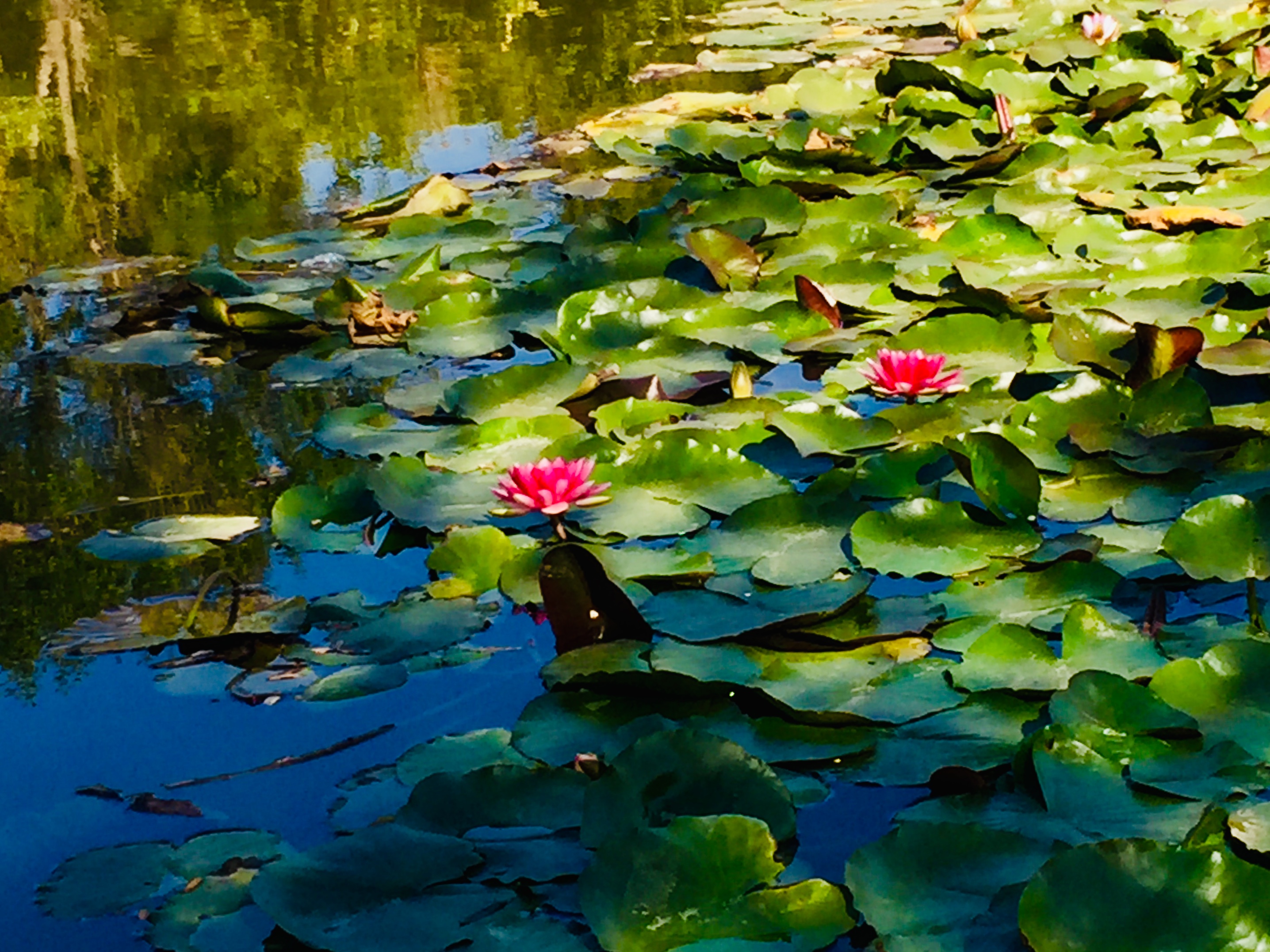天津森林公园儿童乐园项目介绍,滨海新区适合带孩子玩的公园