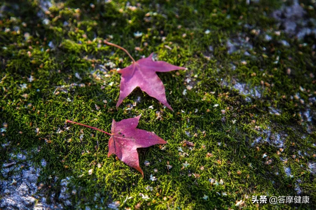 湿疹、犯困…折磨人的「湿邪」到底是什么？怎么辨？怎么治？