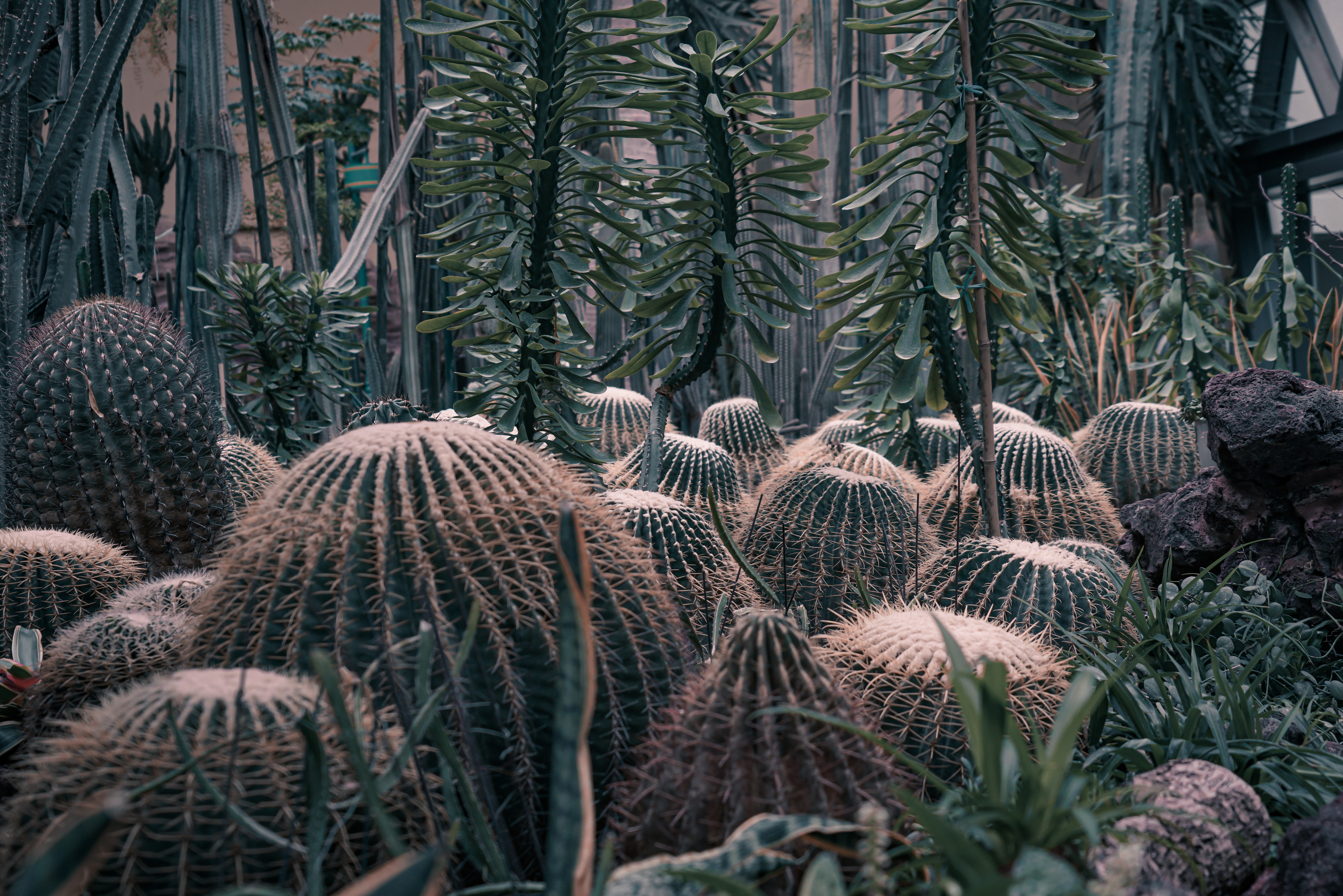 唐山五一野游攻略,五一去唐山亲子旅游攻略