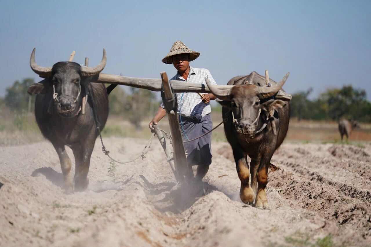 不会当后卫的前锋不是好基金经理