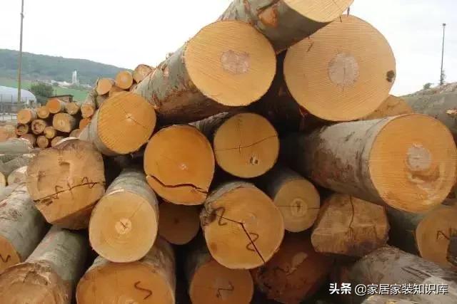 家具行业木材的介绍,我国民间家具常用木材